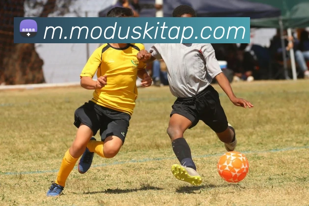 登录器